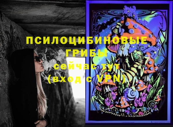 крисы Армянск