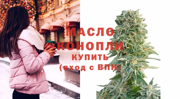 молекула духа Арсеньев