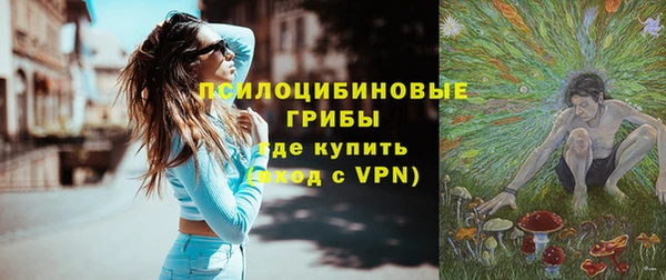 крисы Армянск
