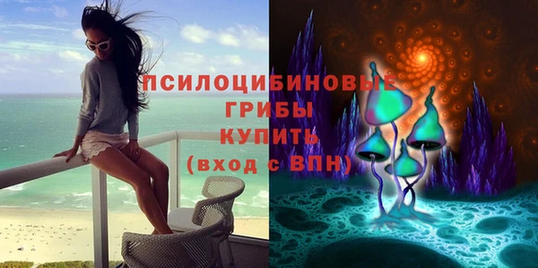 молекула духа Арсеньев