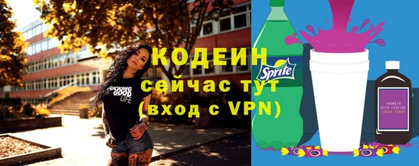 молекула духа Арсеньев