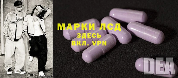 молекула духа Арсеньев