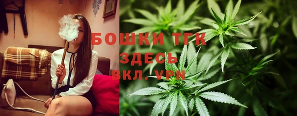 крисы Армянск