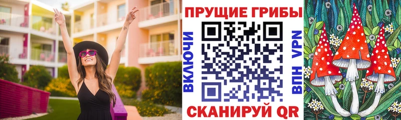 ссылка на мегу tor  Минусинск  Галлюциногенные грибы Magic Shrooms  купить  цена 